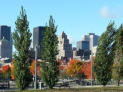 Beautiful downtown fall colours of downtown Montreal