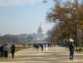 Plenty of people walking on Washington Mall, with the US Capital in the distance