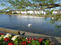 Emsworth Mill Pond on a beautifully warm and sunny spring day.
